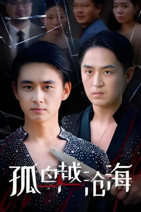 《孤鸟越沧海》封面