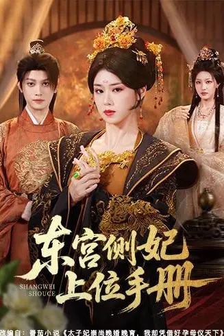 《东宫侧妃上位手册》封面