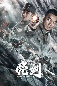 《亮剑之英雄虎胆》封面