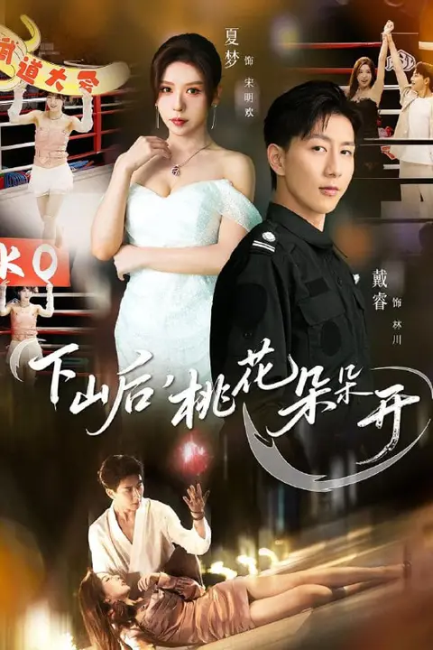 《下山后，桃花朵朵开》封面