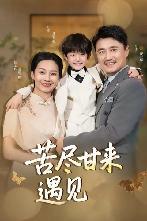 《苦尽甘来遇见爱》封面
