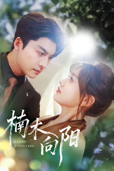 《楠木向阳》封面