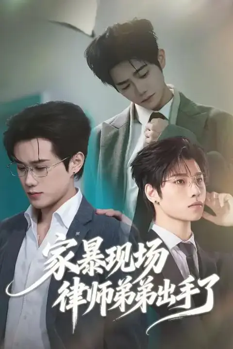 《家暴现场律师弟弟出手了》封面