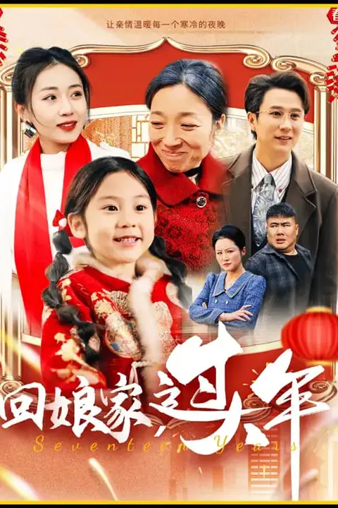 《回娘家过大年》封面