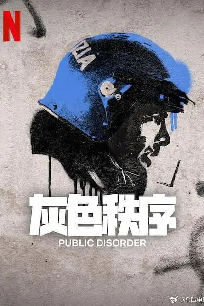 《灰色秩序》封面