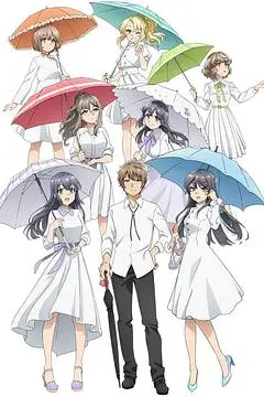 《青春期猪头少年不会做派对女孩的梦》封面