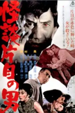 《怪談片目の男》封面