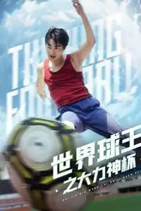 《世界球王之大力神杯》封面