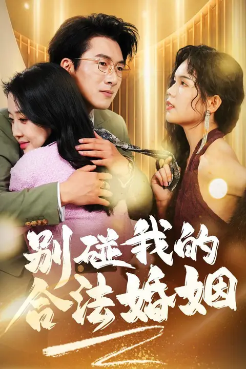 《别碰我的合法婚姻&amp;天大地大老婆最大》封面