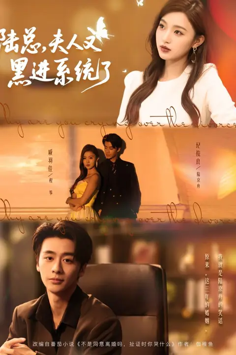 《陆总夫人又黑进系统了》封面