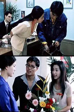 《绿色柔情》封面