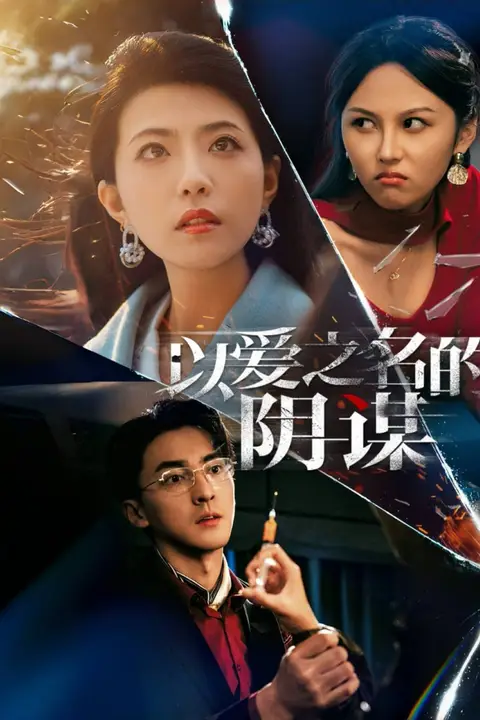 《以爱之名的阴谋》封面