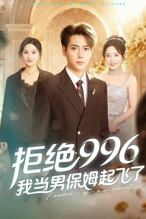 《拒绝996，我当男保姆起飞了》封面