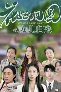《花好月圆之女儿归来》封面