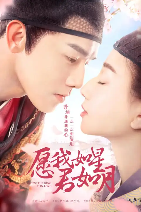《愿我如星君如月 第一季》封面