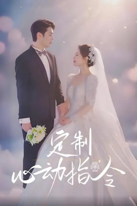 《定制心动指令》封面
