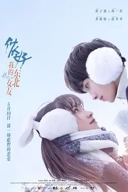 《侬好，我的东北女友》封面