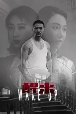 《醒来》封面