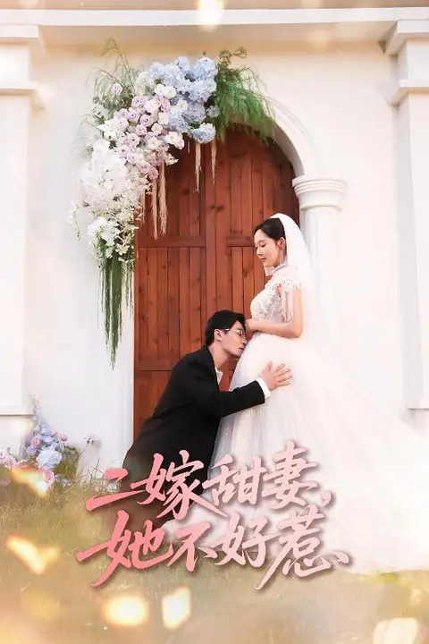 《二嫁甜妻她不好惹》封面