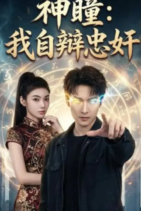 《神瞳:我自辩忠奸》封面