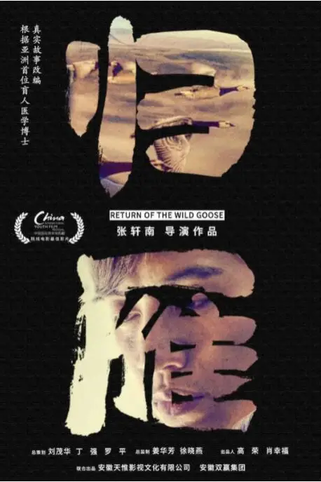 《归雁》封面