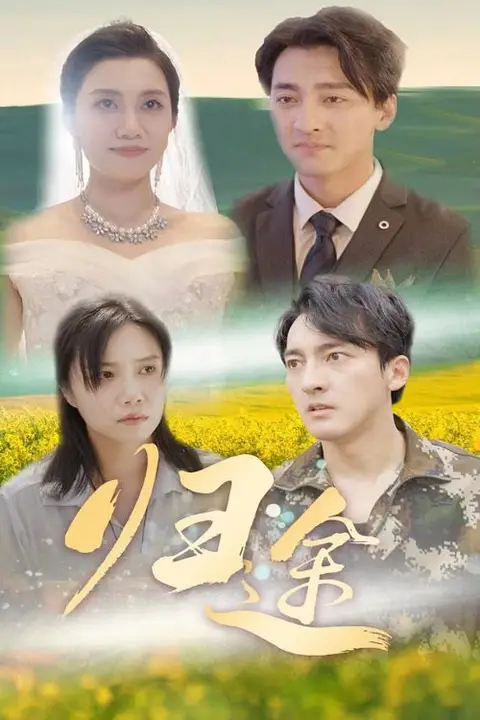 《归途》封面