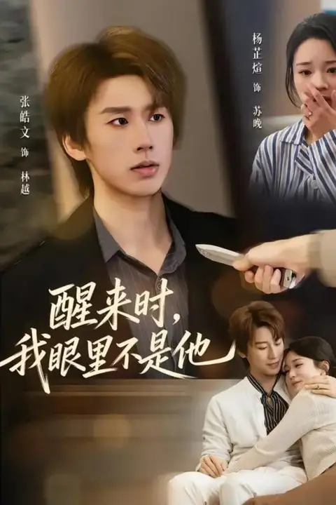 《醒来时,我眼里不是他》封面