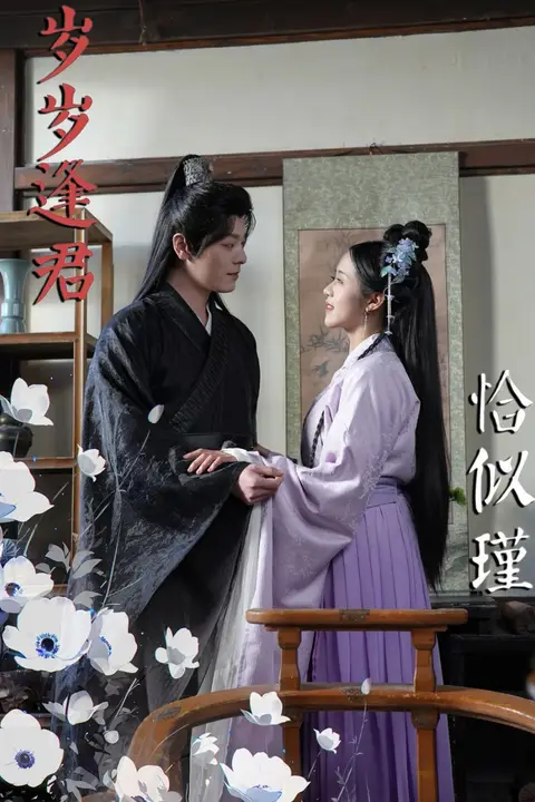 《岁岁逢君恰似瑾》封面