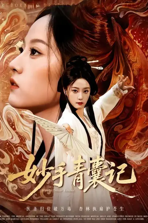 《妙手青囊记》封面