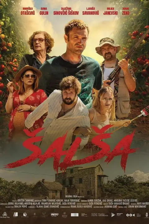 《Salsa》封面