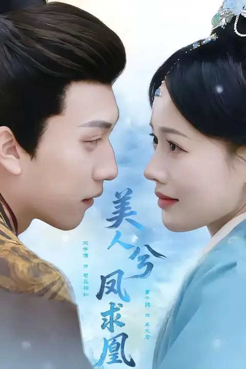 《美人兮凤求凰》封面
