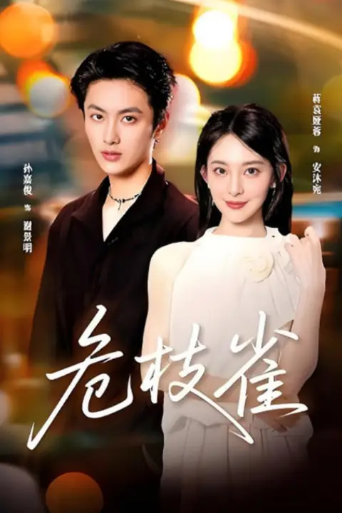 《危枝雀》封面