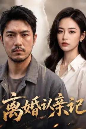 《离婚认亲记》封面