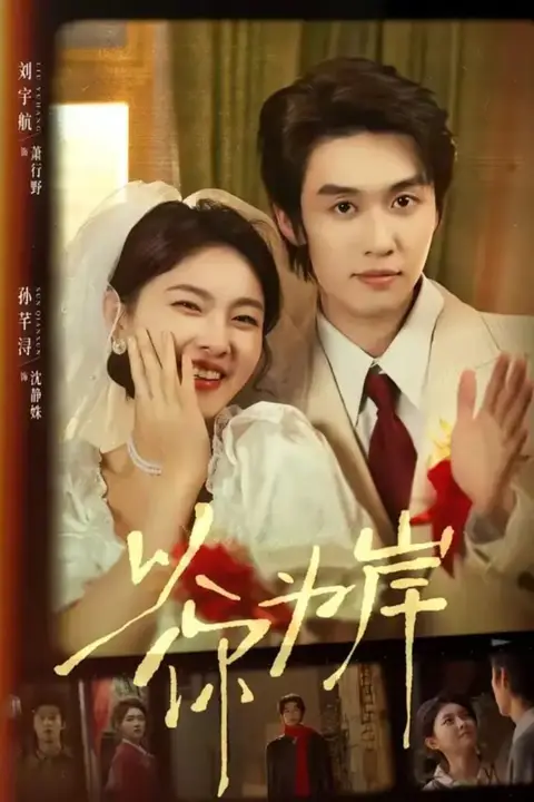 《以你为岸》封面