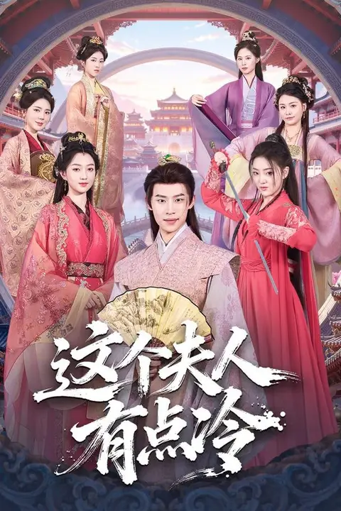 《这个夫人有点冷》封面