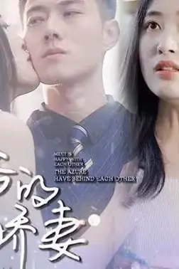 《秦爷的闪婚娇妻》封面