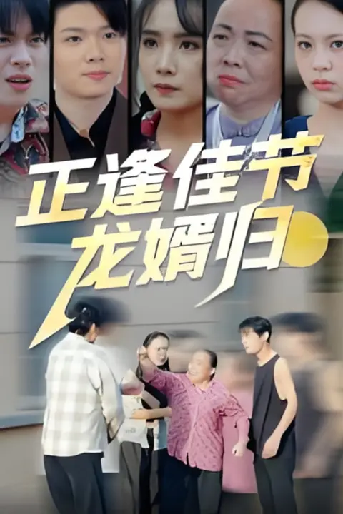《正逢佳节龙婿归》封面