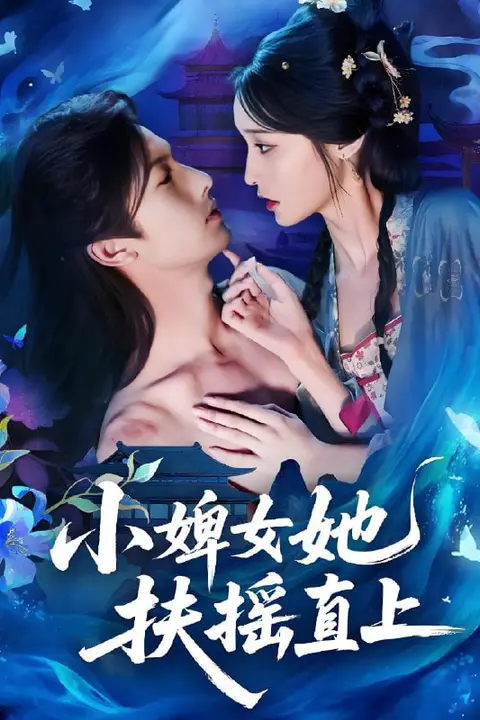 《小婢女她扶摇直上》封面