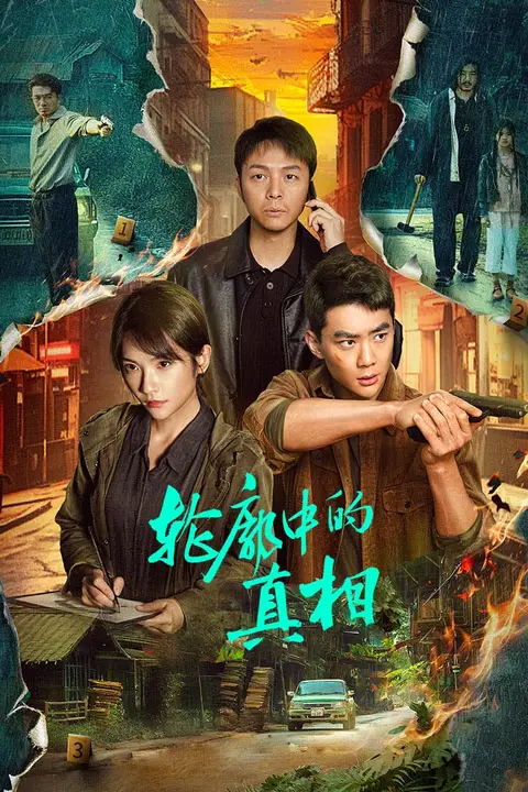 《轮廓中的真相》封面