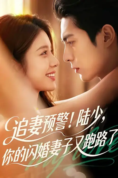 《追妻预警！陆少，你的闪婚妻子又跑路了》封面