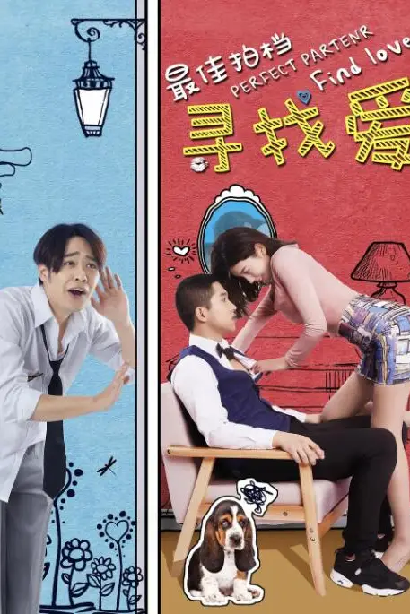 《最佳拍档之寻找爱》封面