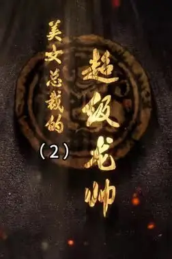 《美女总裁的超级龙帅》封面