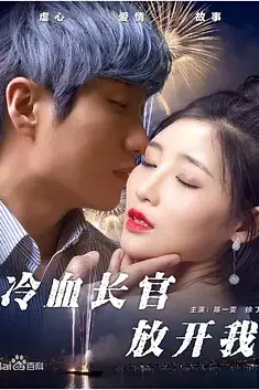 《冷血长官放开我》封面