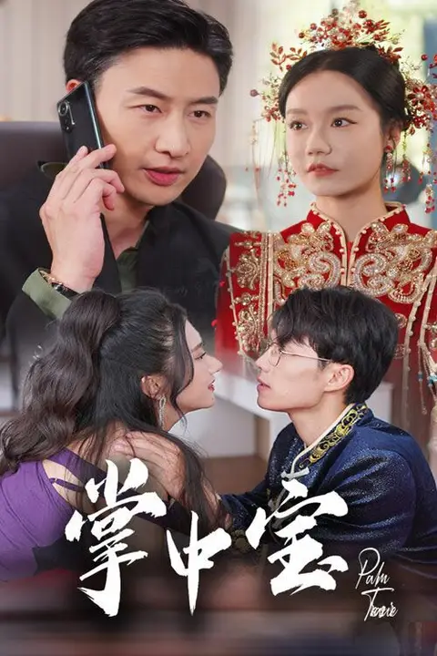 《掌中宝》封面