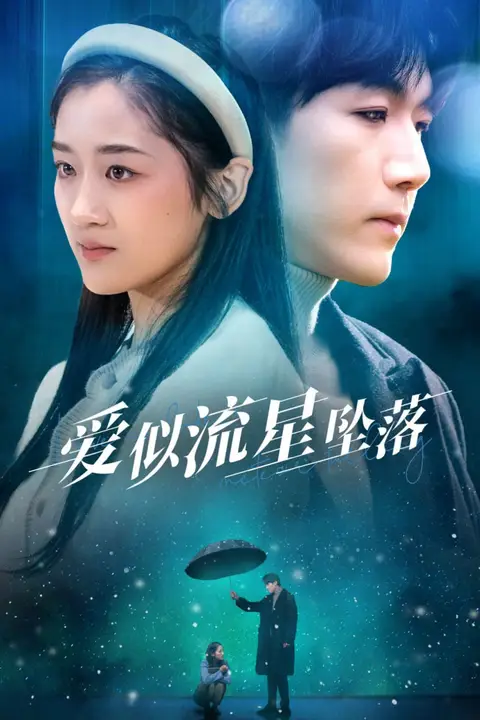 《爱似流星坠落》封面
