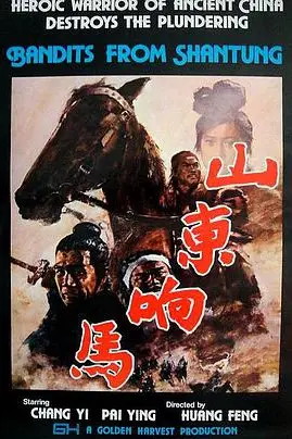 《山东响马》封面