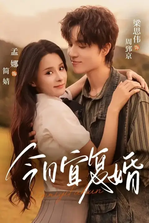 《今日宜复婚》封面