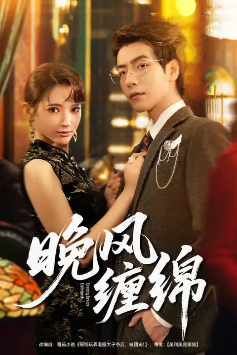 《晚风缠绵》封面