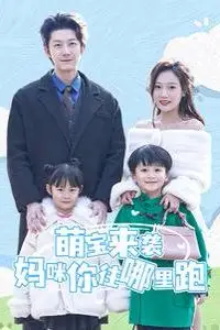 《萌宝来袭妈咪你往哪里跑》封面