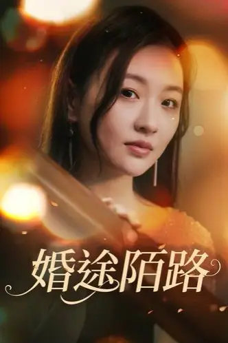 《婚途陌路》封面
